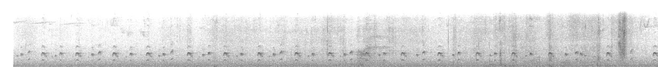 Junin Tapaculo - ML636862980