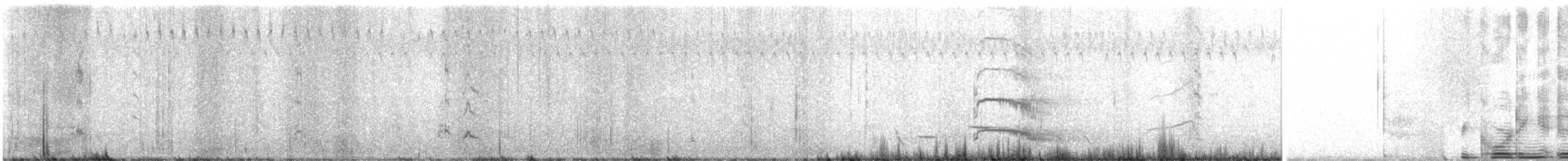 Australasian Swamphen - ML636864079