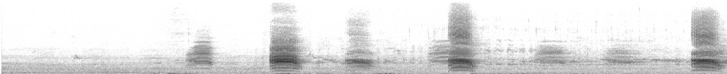 Silver Gull - ML636864379