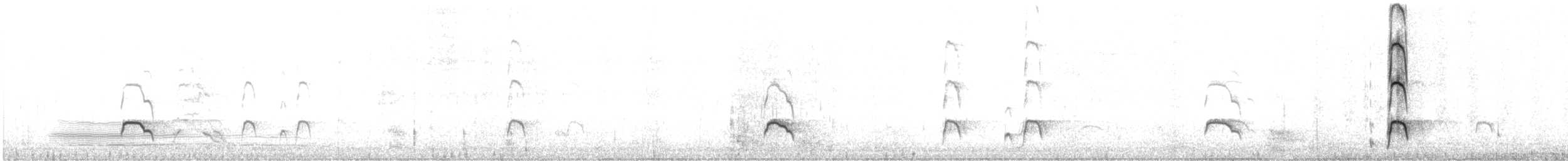 ústřičník dlouhozobý - ML636864383