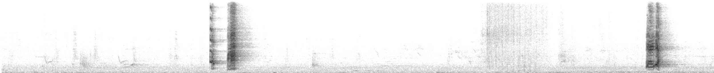 Little Wattlebird - ML636864388