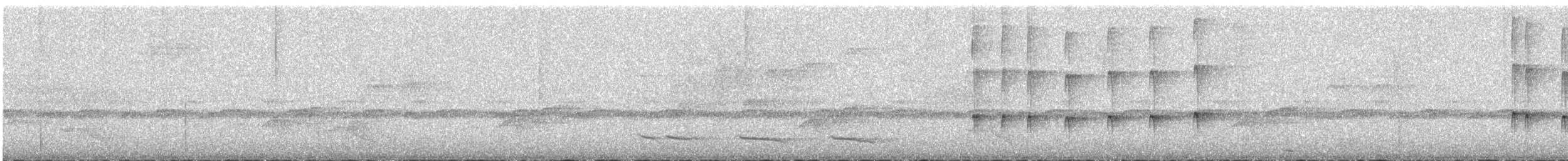 Scale-crested Pygmy-Tyrant - ML636864869