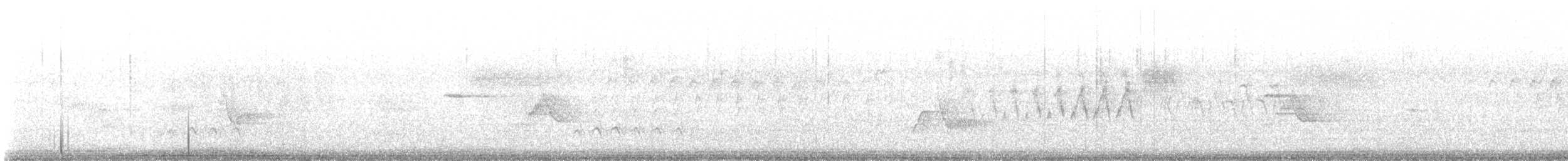Cassin's Vireo - ML636865341