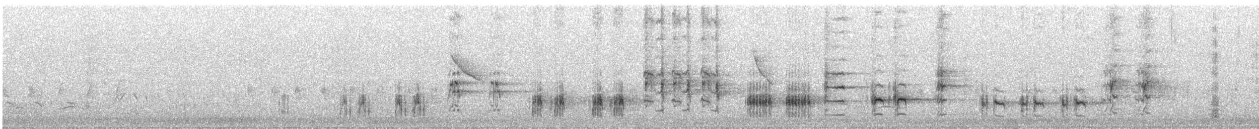 Great Reed Warbler - ML636866478