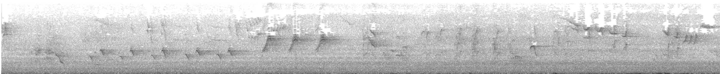 Gray Gerygone - ML636867515
