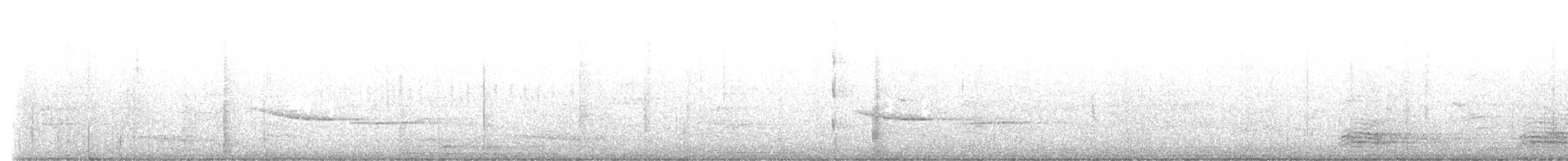 Russet-tailed Thrush - ML636870992