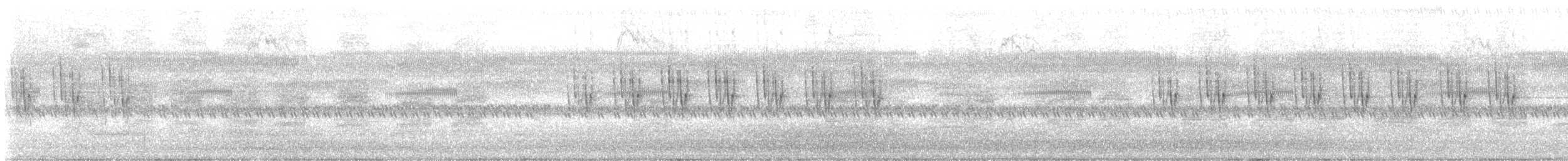 Striped Prinia - ML636871371