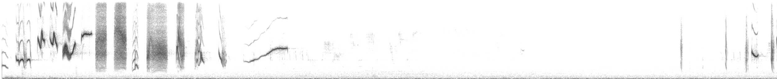 Sabota Lark - ML636871409