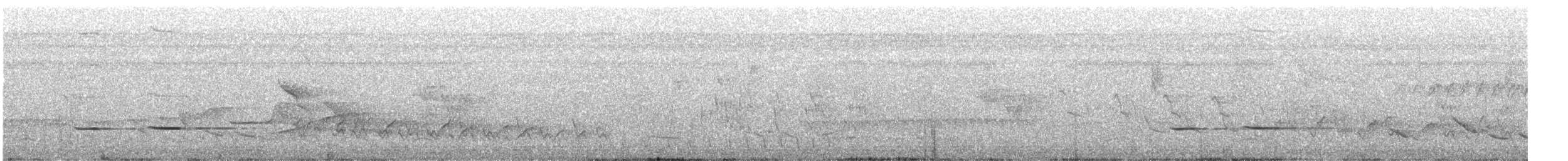 Striped Cuckoo - ML636874173