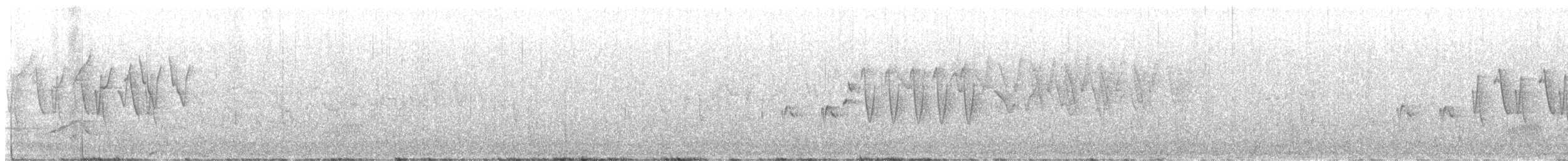 budníček šedokorunkatý - ML636875435