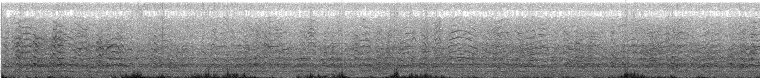 Antxeta mokogorri amerikarra - ML636878306