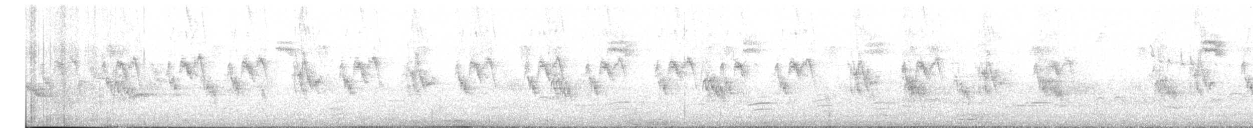 Spanish Sparrow - ML636878405