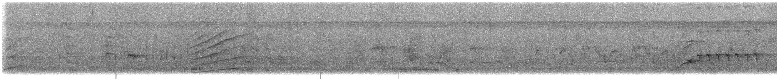 Great-tailed Grackle - ML636878790