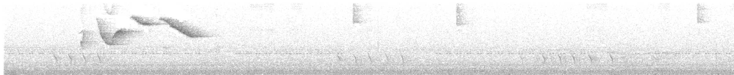 Half-collared Sparrow - ML636882326