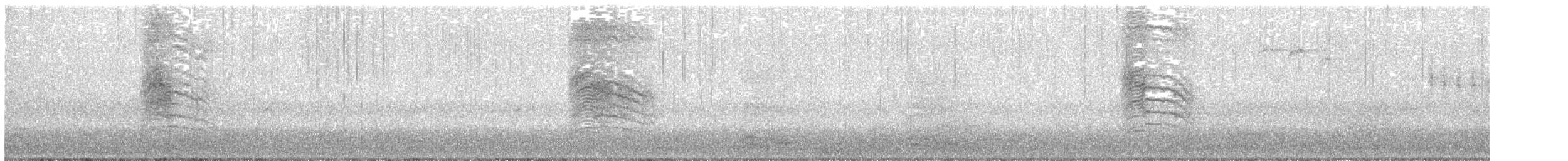 Gray Catbird - ML636885744
