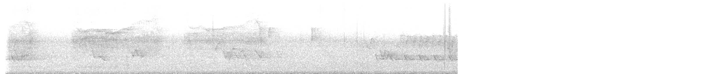 Barred Owl - ML636888621