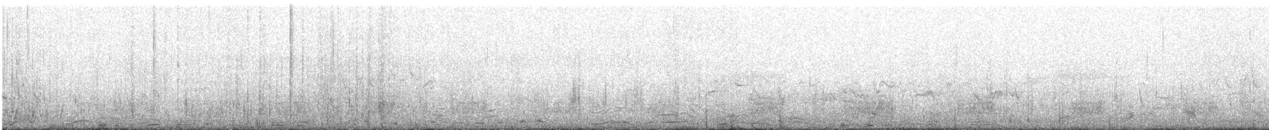 Stockente - ML636888773