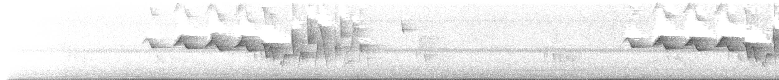 Louisiana Waterthrush - ML636888818