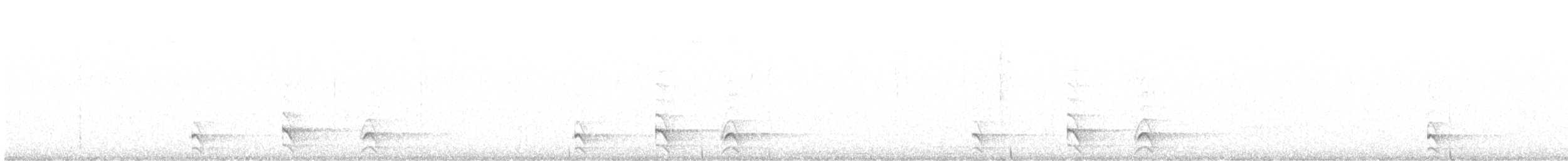 sokolec pralesní - ML636891680