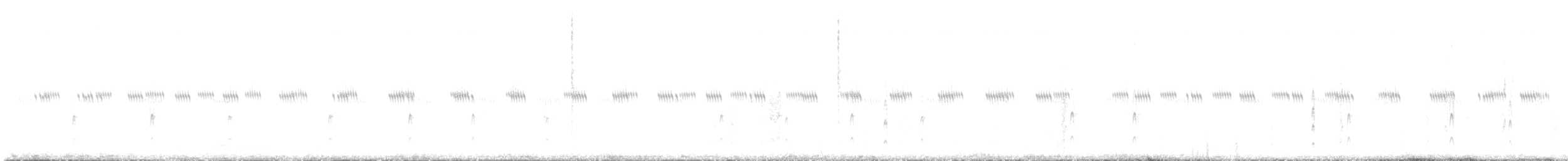 tyran západní - ML636892825