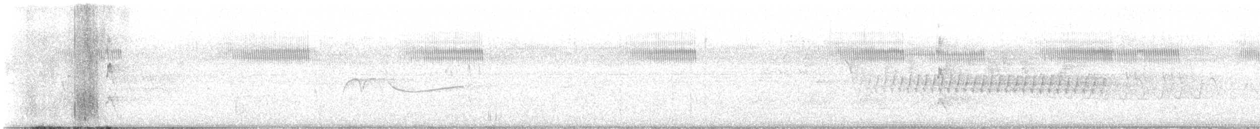 Red-cockaded Woodpecker - ML636896806