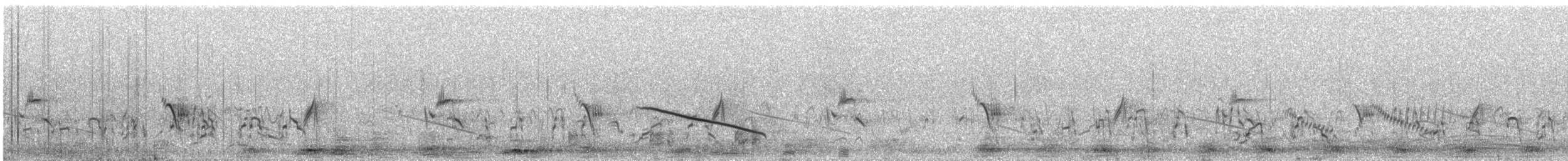 Nicholson's Pipit - ML636897614