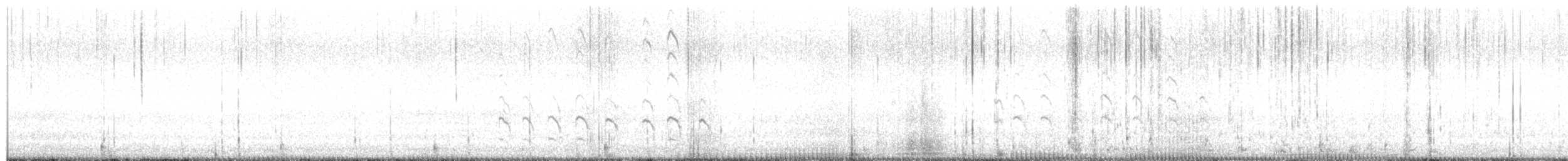 Forster's Tern - ML636900808