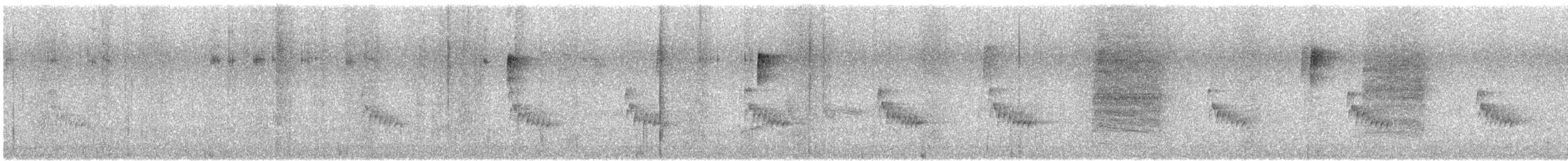 Carolina Wren - ML636902359