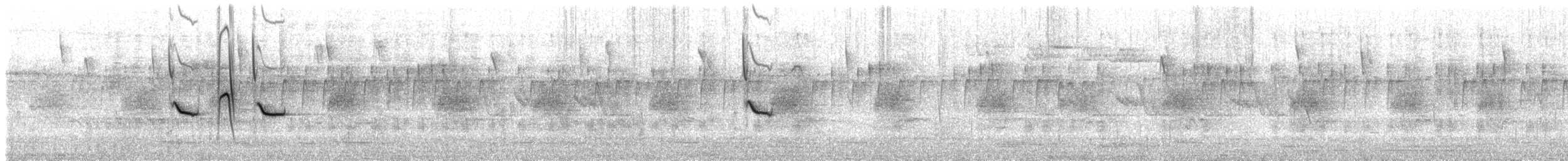 Rufous-vented Tit - ML636903270