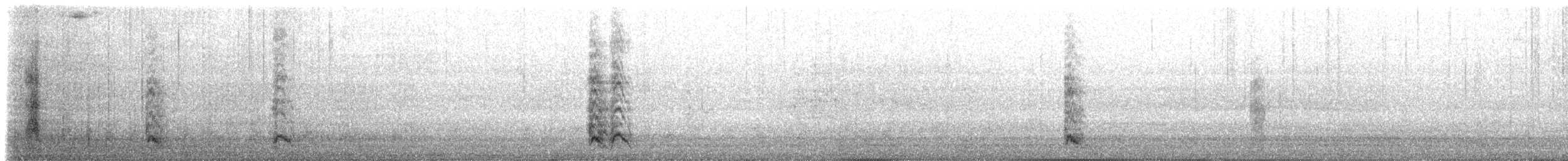 Black-rumped Magpie - ML636903811