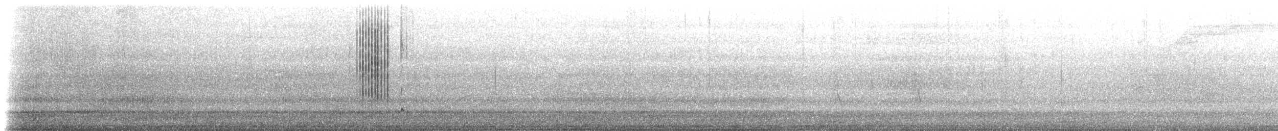 Black-rumped Magpie - ML636903824