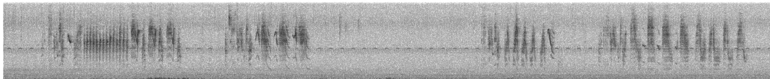 Grass Wren - ML636904354