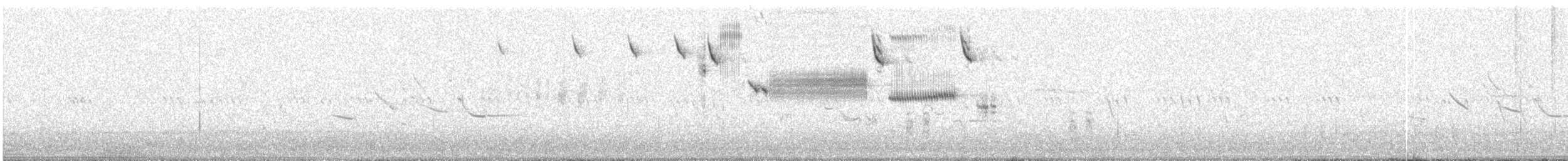 Savannah Sparrow - ML636904678