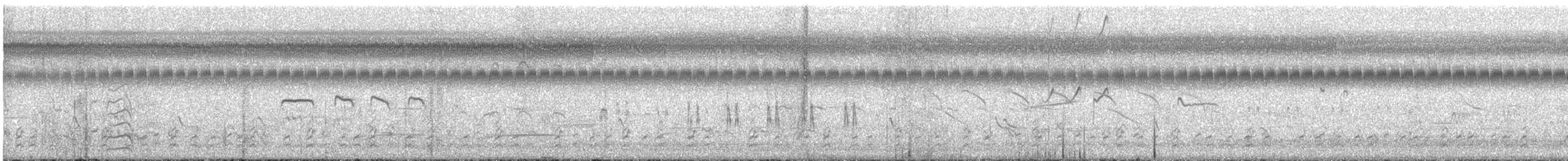 Marbled Godwit - ML636904801