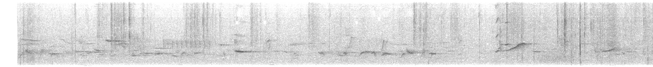 Kalij Pheasant - ML636911911