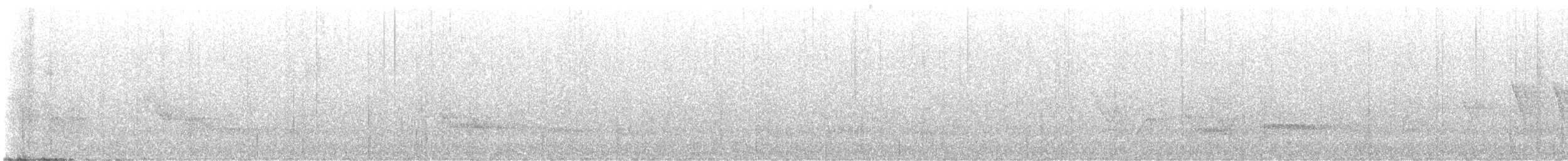 Striated Softtail - ML636913598