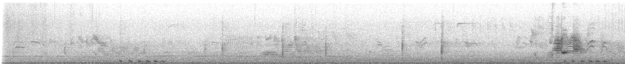 Least Bittern - ML636913930