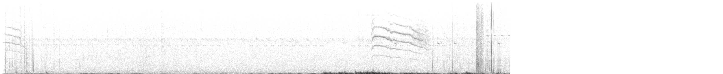 Tropical Gnatcatcher - ML636914077