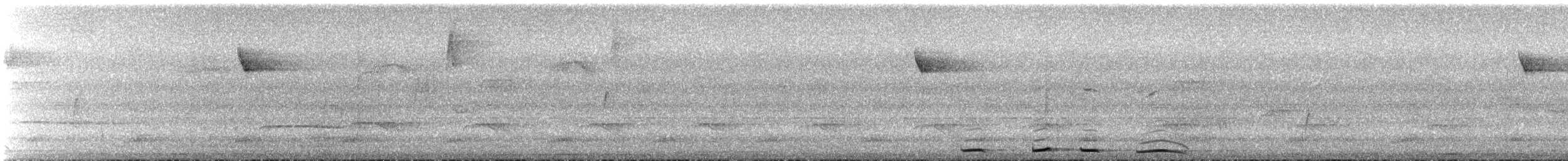 Tropical Royal Flycatcher - ML636914736