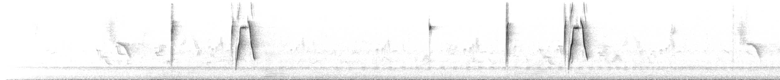 ノドグロスズメモドキ - ML636916608