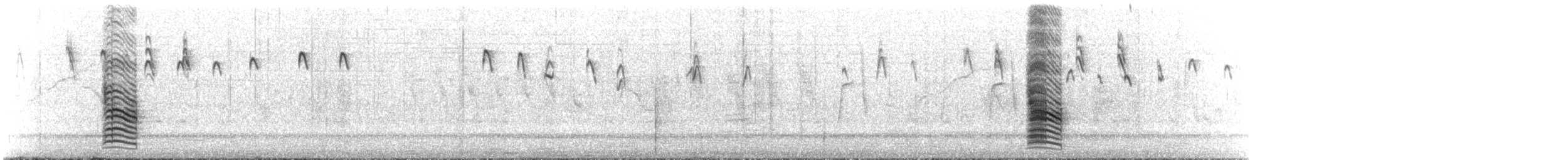 クロハラムクドリモドキ - ML636916680