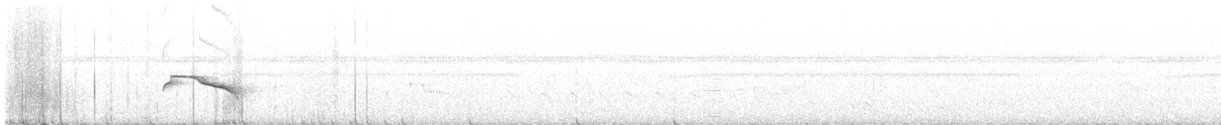 Stripe-backed Antbird - ML636916897