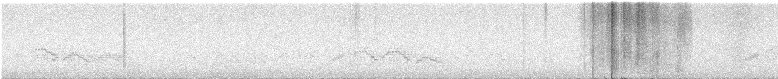 Veery - ML636917605