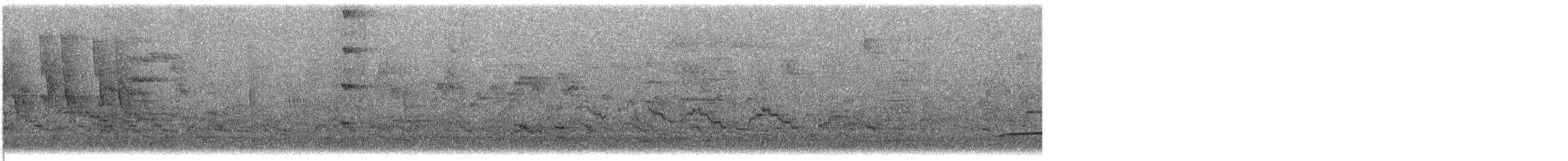 Veery - ML636917774