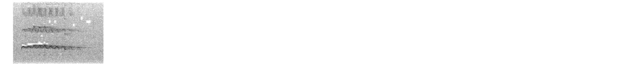 Laysan Albatross - ML636919393