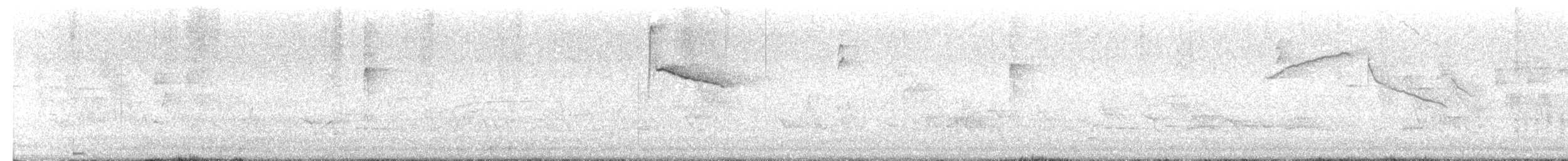 Downy Woodpecker - ML636919760