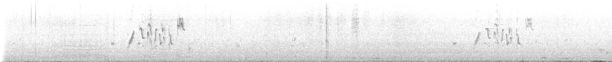 Bandammer - ML636920790