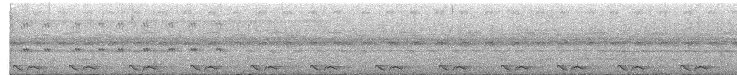 Tawny-collared Nightjar - ML636920956