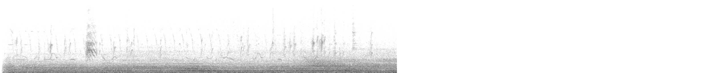 Black Tern (American) - ML636921153