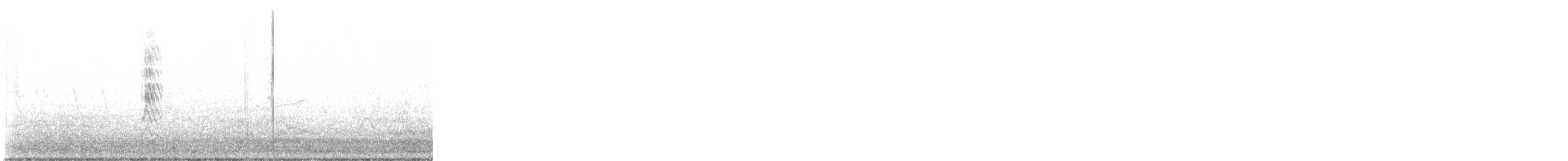 Black Tern (American) - ML636921166